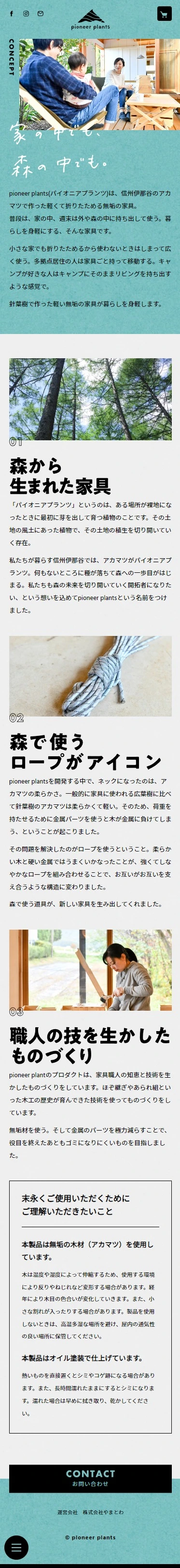 pioneer plants